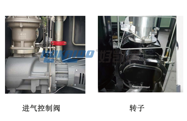 進氣控制閥和轉(zhuǎn)子