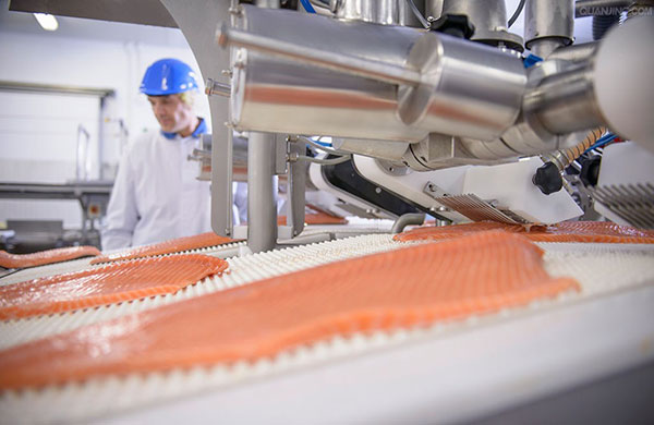 食品工業如何正確選擇真空泵？