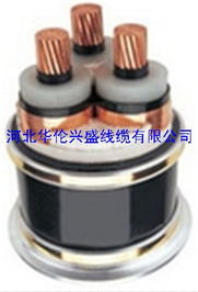 河北華倫興盛線纜電力電纜產品列表